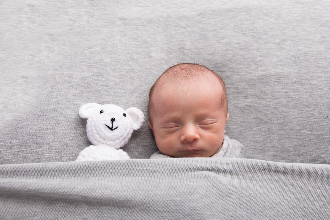 Boise Newborn Photographer Newborn Baby Boy