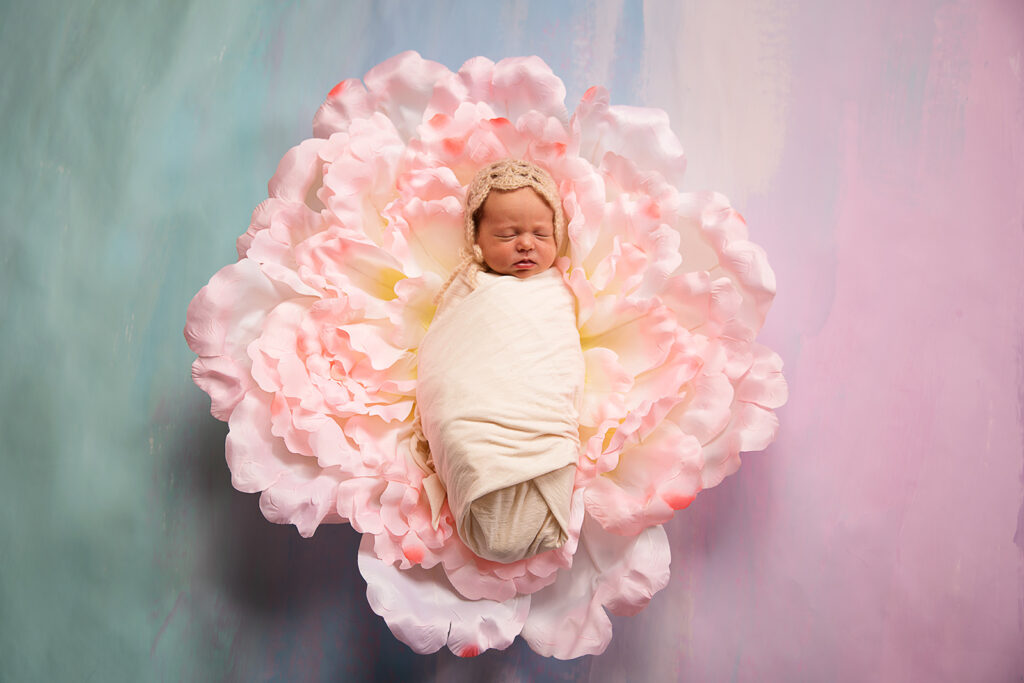 newborn baby girl swaddled with brown bonnet sleeping on giant pink flower on top of rainbow backdrop